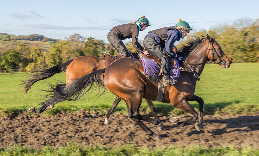 "Racehorses on the gallops" (CC BY-ND 2.0) by PapaPiper