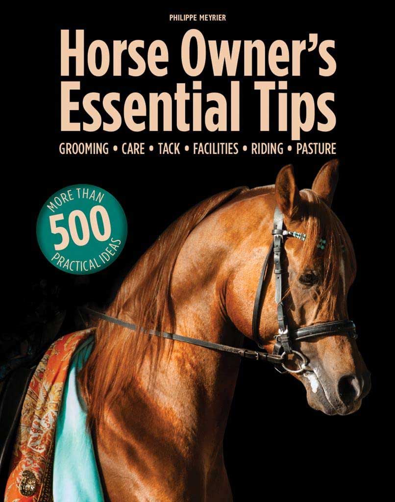 
Horse Owners' Essential Tips: Grooming, Care, Tack, Facilities, Riding, Pasture