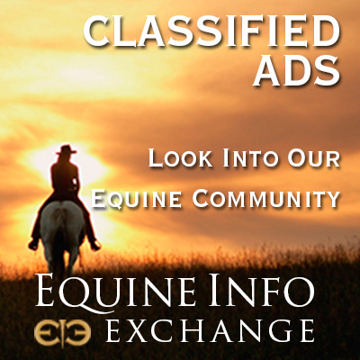 Classified Ads!