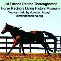 Old Friends Retired Throughbreds