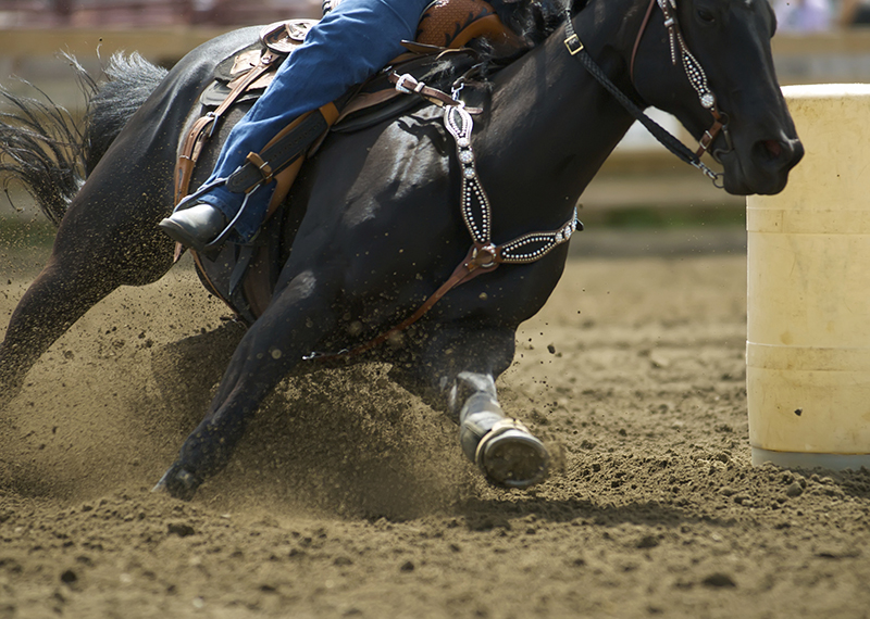 Equine Info Exchange - Barrel Racing