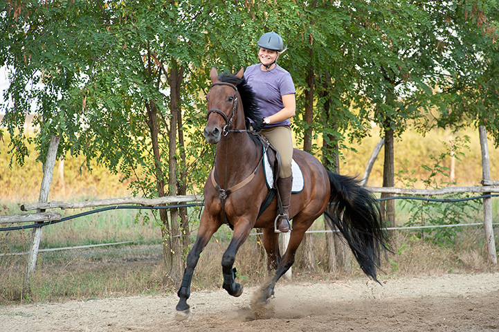 College HorsebackRiding