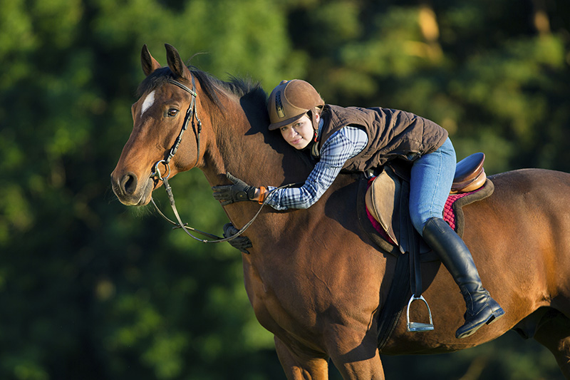 Equine Info Exchange - College Riding