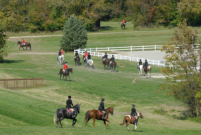 Equine Info Exchange - Foxhunting