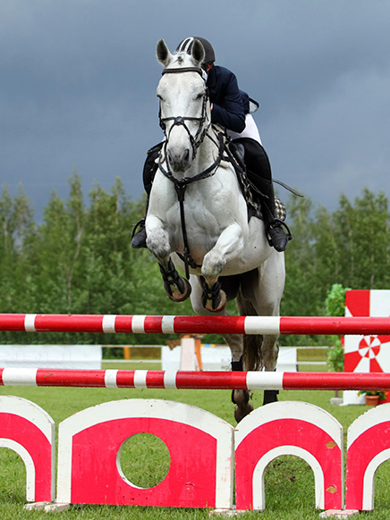 show hunter jumper event showing a horse as it soars over a fence