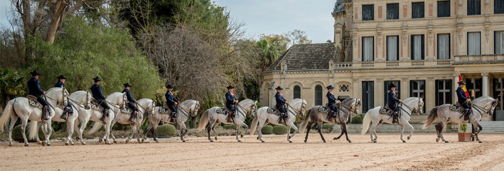 Royal Andalusian School of Equestrian Art Horse Carriage Museum & Museum of Equestrian Arts,Cádiz, Spain