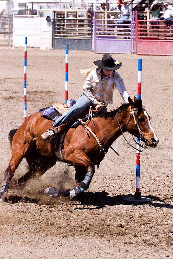 Equine Info Exchange - Pole Bending