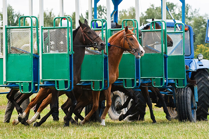 Equine Info Exchange - Racing Training