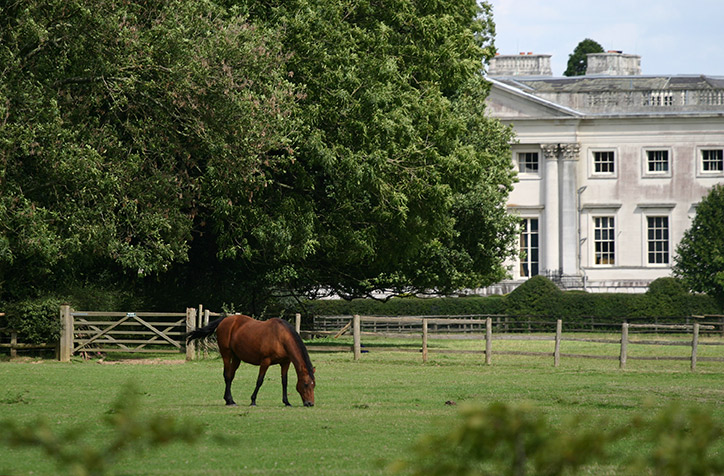 Equine Info Exchange - Real Estate