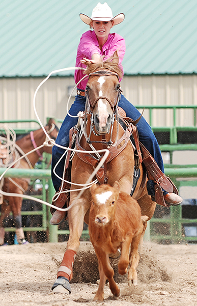 Equine Info Exchange - Roping