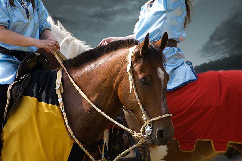 Equine Info Exchange - Clinicians & Trainers