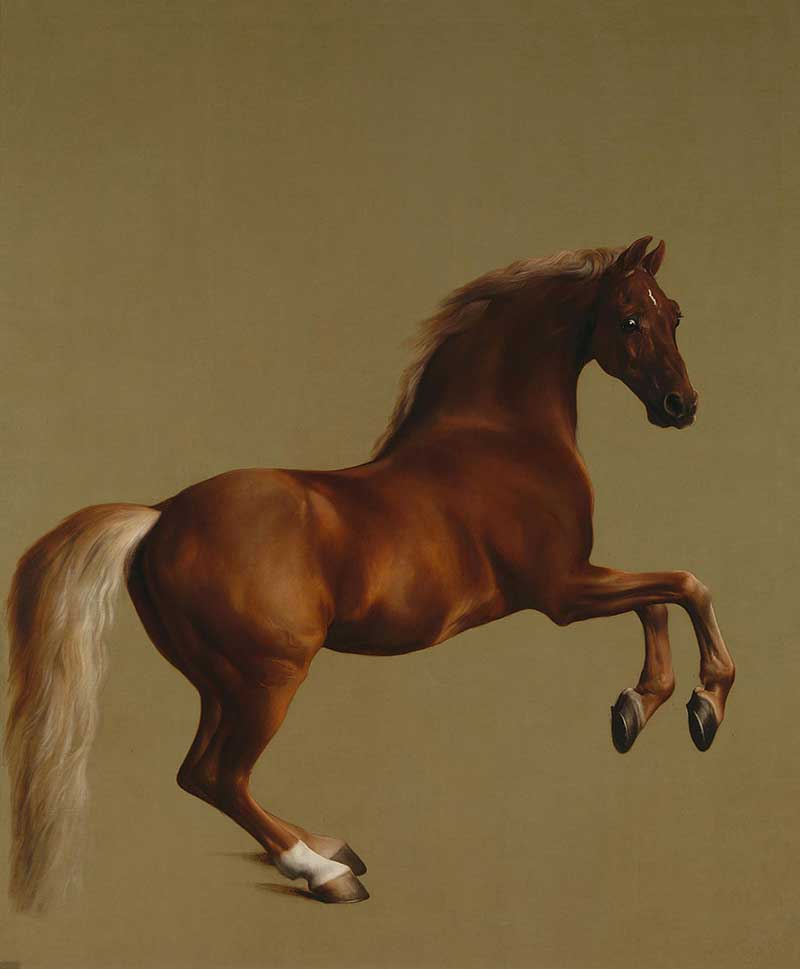 George Stubbs, Whistlejacket, 1762 (photo credit © George Stubbs /Wiki Commons)