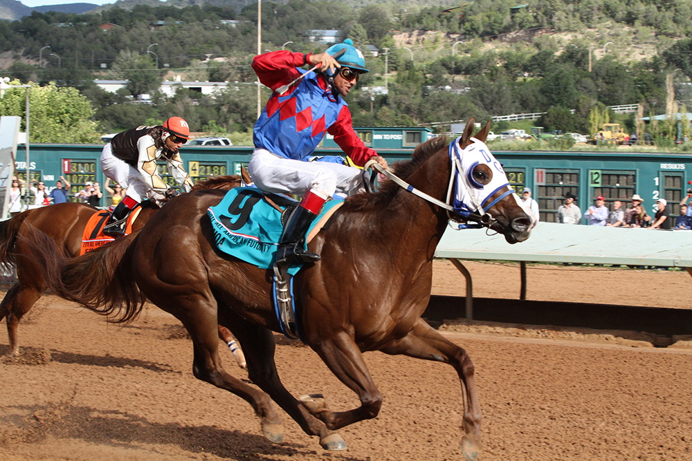 Equine Info Exchange Quarter Horse