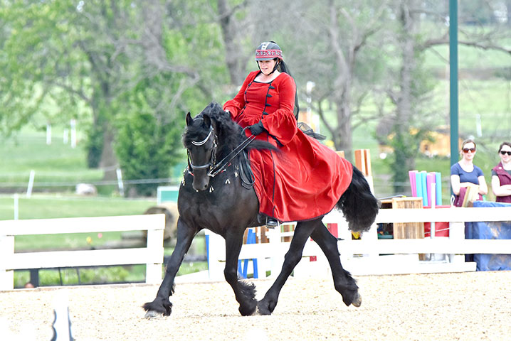 Equine Info Exchange Friesian Horse