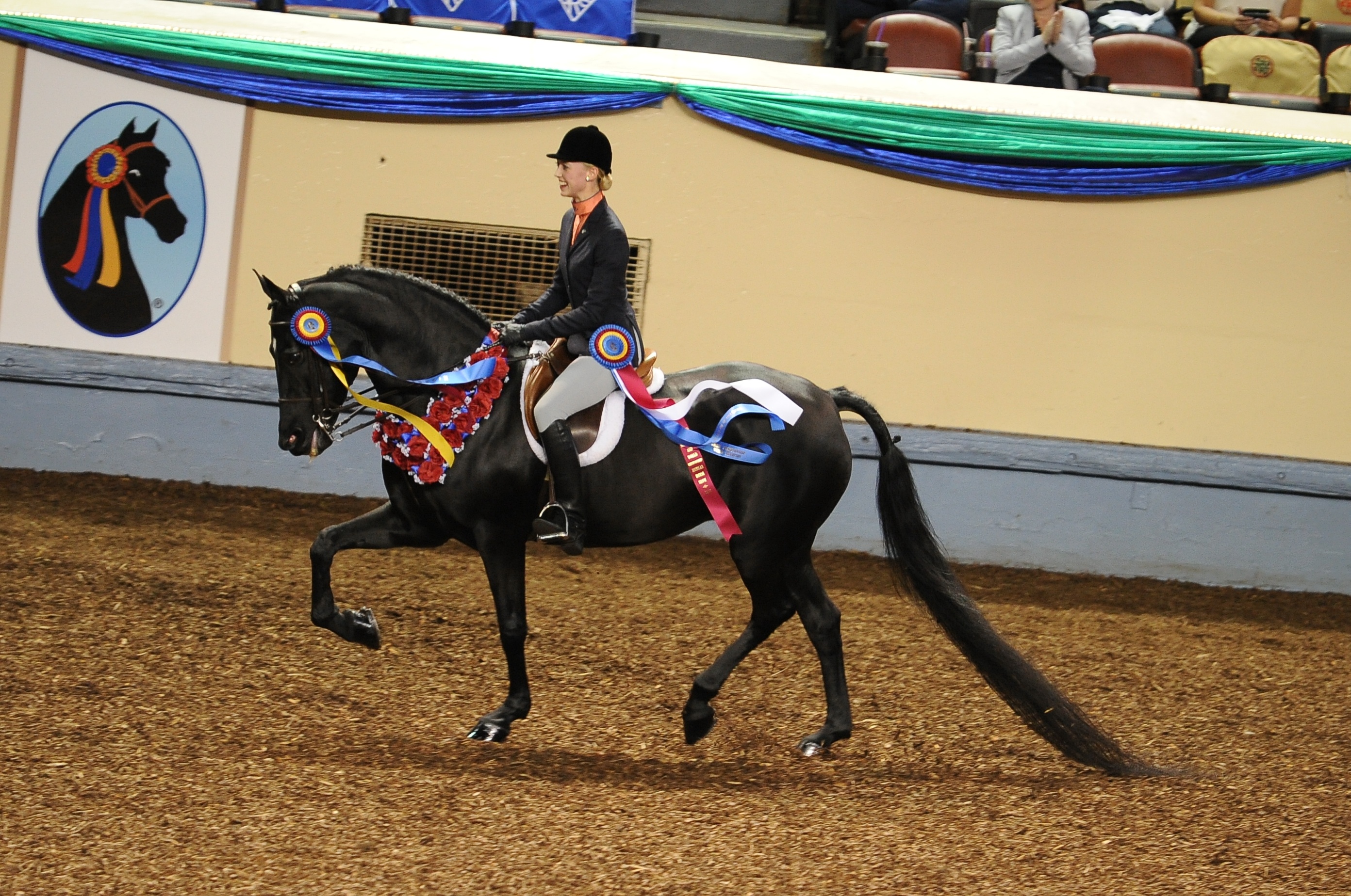 Equine Info Exchange Morgan Horse