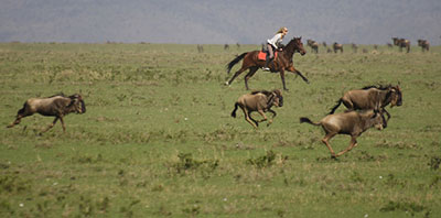 Safaris Unlimited - Kenya Africa