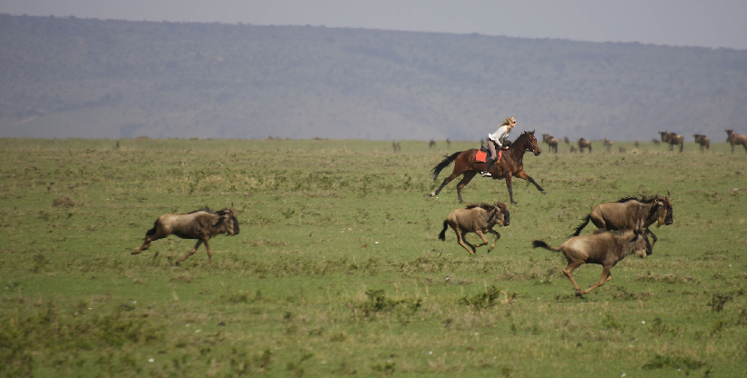 Safaris Unlimited - Kenya Africa