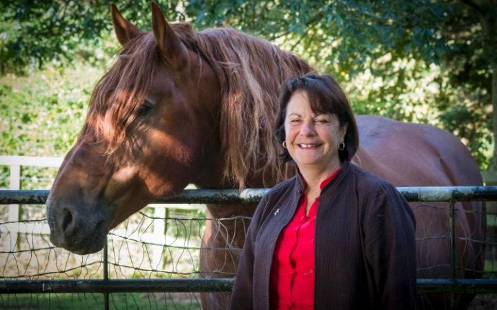 Clare, Countess of Euston with her Suffolk Punch stallion, Euston Malachite CREDIT: JASON BYE