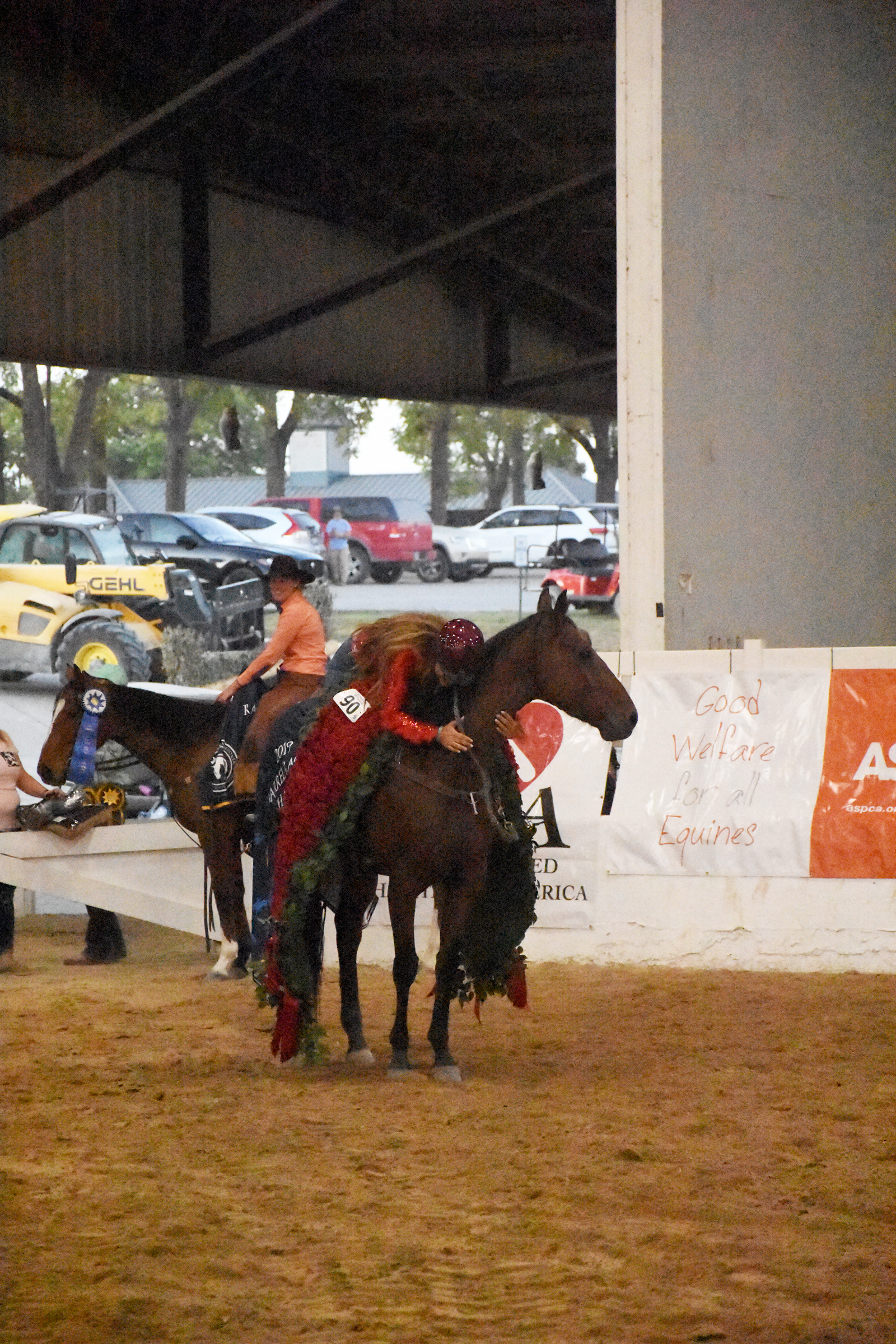 Cowboy Swagger competed in the Barrels discipline and was 2019 Thoroughbred Makeover Champion. (Melissa Bauer-Herzog/America's Best Racing)