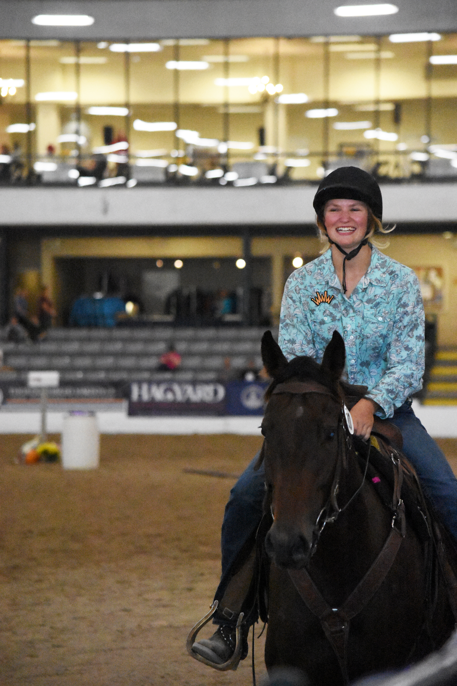 Just In Flash competed in the Competitive Trail discipline. (Melissa Bauer-Herzog/America's Best Racing)