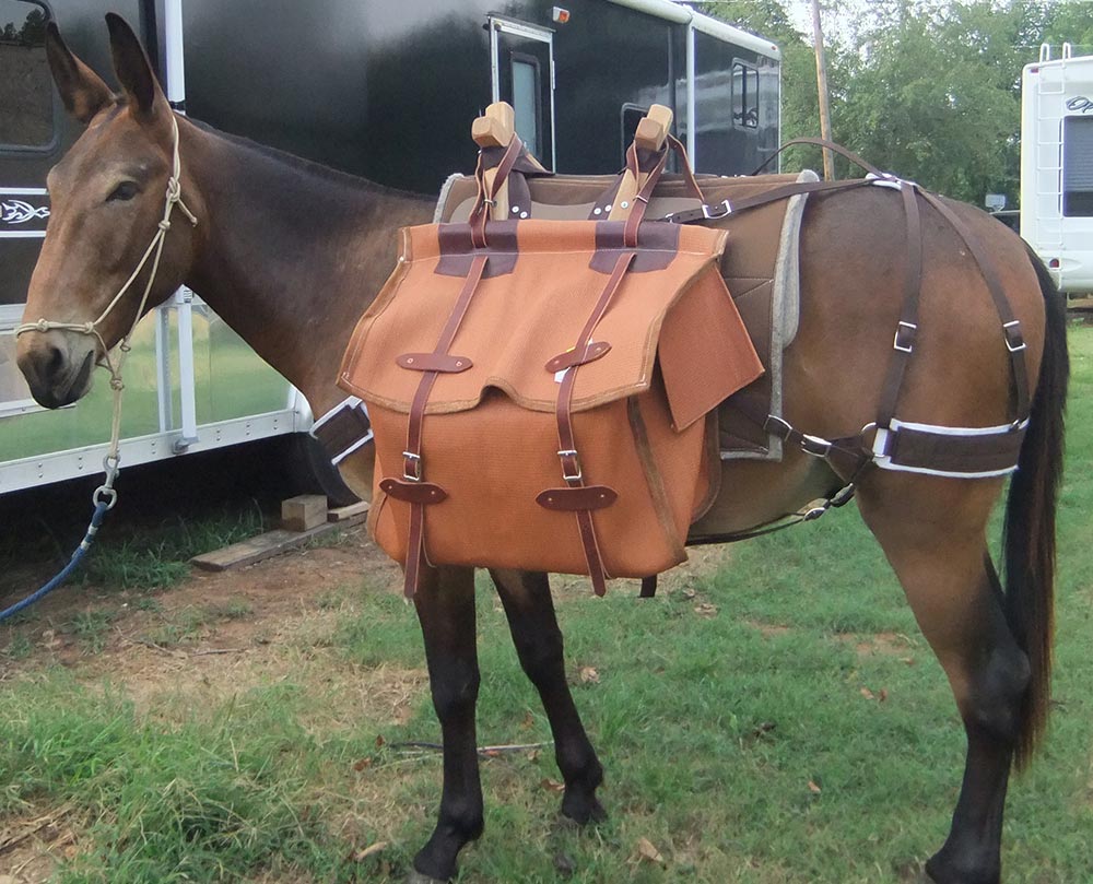 2RMules and Wyoming Saddlery 