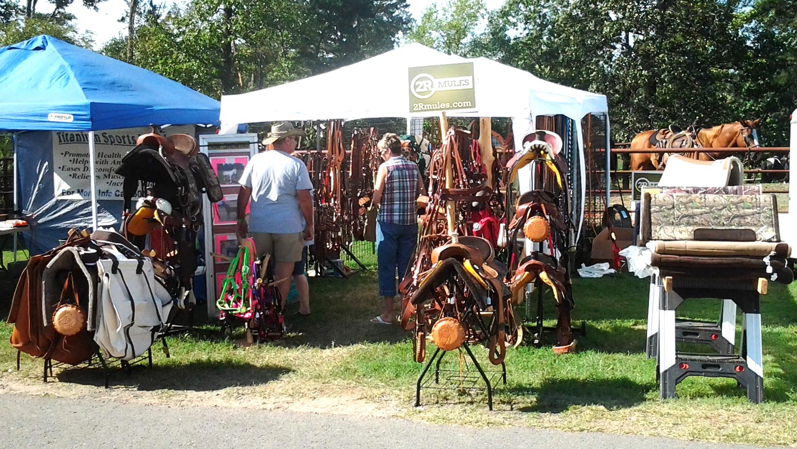 2RMules and Wyoming Saddlery 