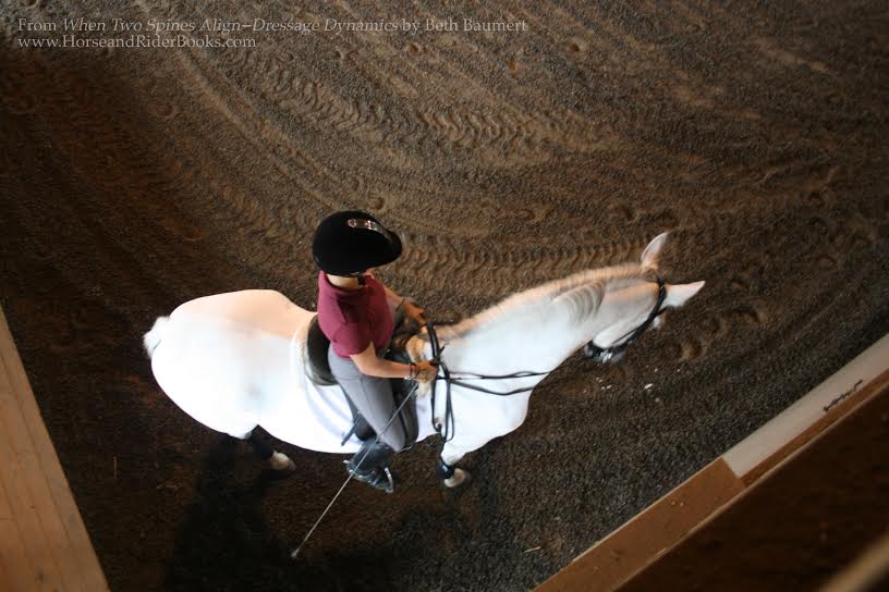 When Two Spines Align Dressage Dynamics