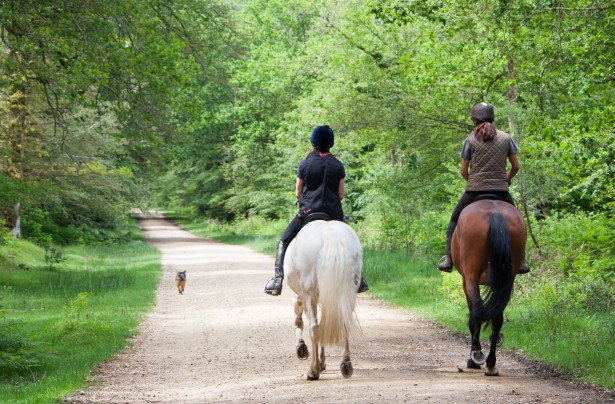 Seven Summertime Tips for Fun on the Trails