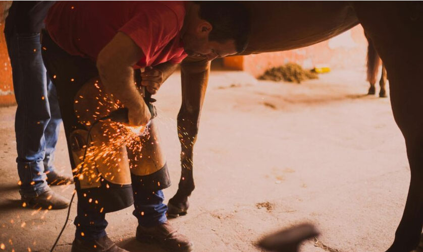 Farriers are essential in the equine industry. * Photo from Pexels courtesy of AQHA