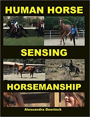 Human Horse Sensing Horsemanship