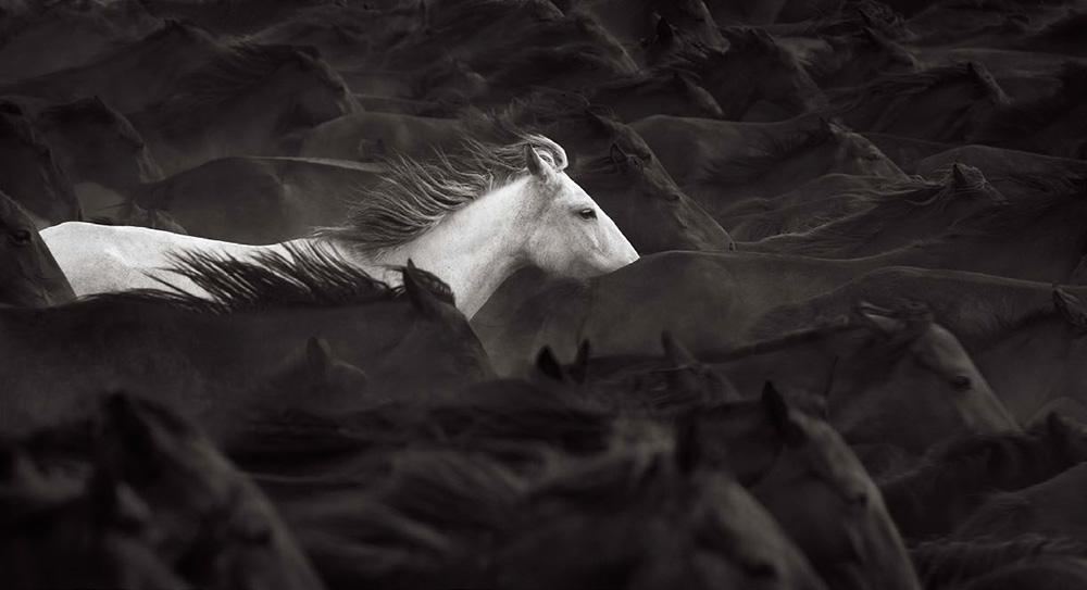 Whisper of Light (2024) photograph by Drew Doggett