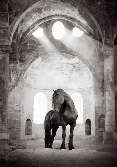 Divine (2024) photograph by Drew Doggett