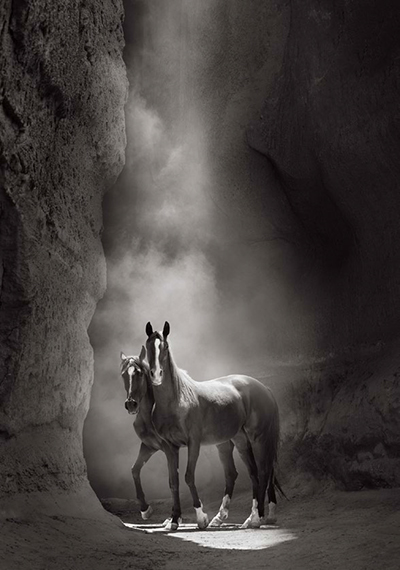 Spirit Within (2024) photograph by Drew Doggett