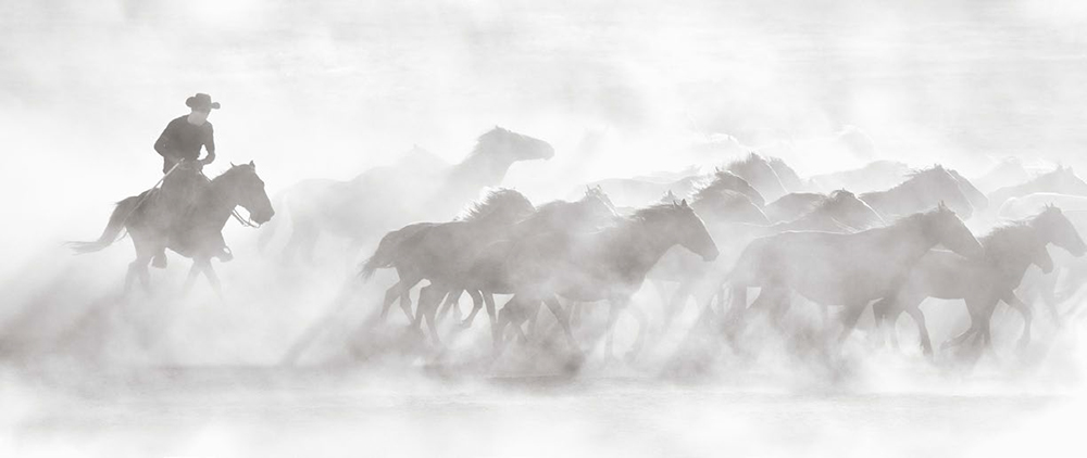 Smoke & Ash (2024) photograph by Drew Doggett