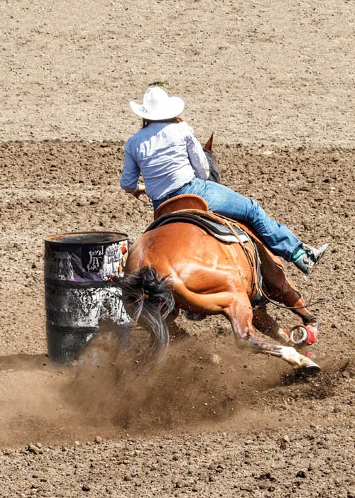 Sentinel Horse Feed - Barrel Racing