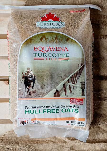 Equavena TurcotteTM Hullfree Oat from Semican