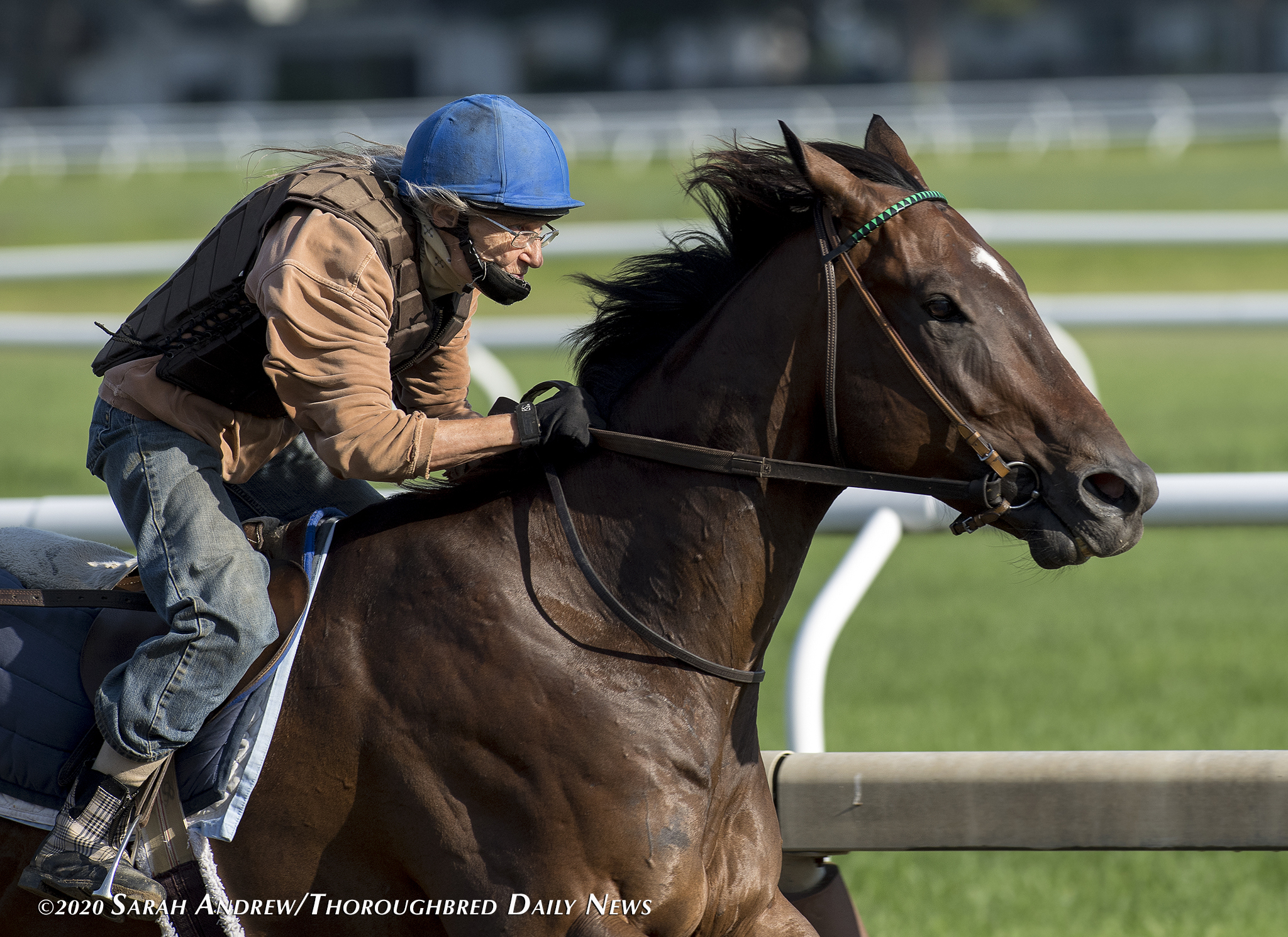 Patricia Meadow, the 'galloping granny' | photo by Sarah Andrew courtesy of Thoroughbred Daily News