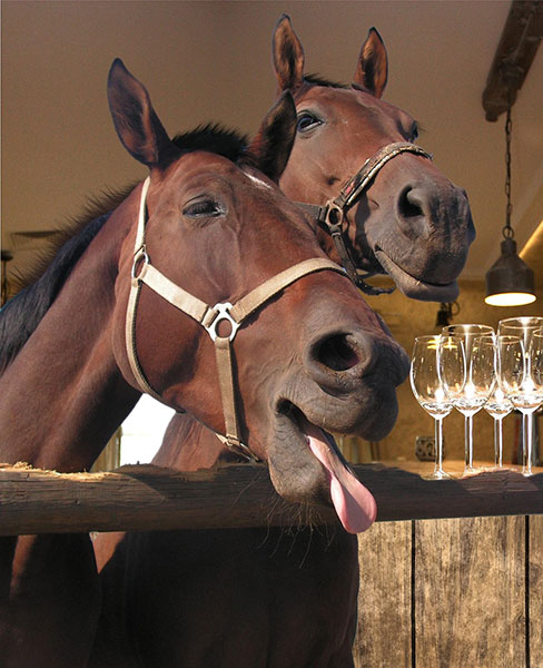 Image by Digital Designer from Pixabay