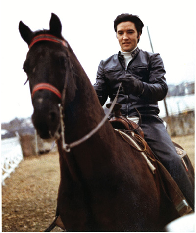 Elvis poses aboard his beloved Tennessee Walking Horse, Bear, in this candid photograph taken on January 1, 1968. © Magma Agency / WireImage / Getty Images.