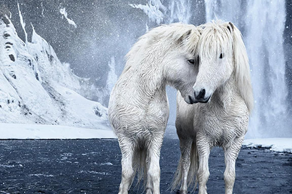 Untamed Spirits by Drew Doggett