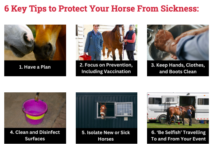 Biosecurity Risk Calculator, free healthcare tool