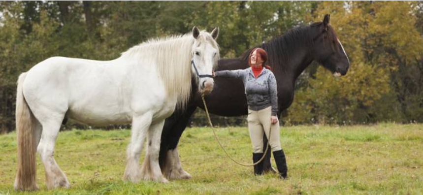 Photo courtesy of Kentucky Equine Research