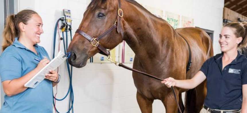 Photo courtesy of Kentucky Equine Research
