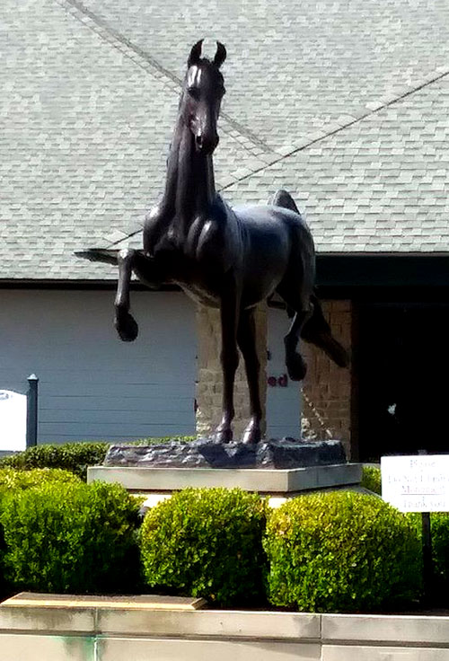 Land Rover Kentucky Three-Day Event