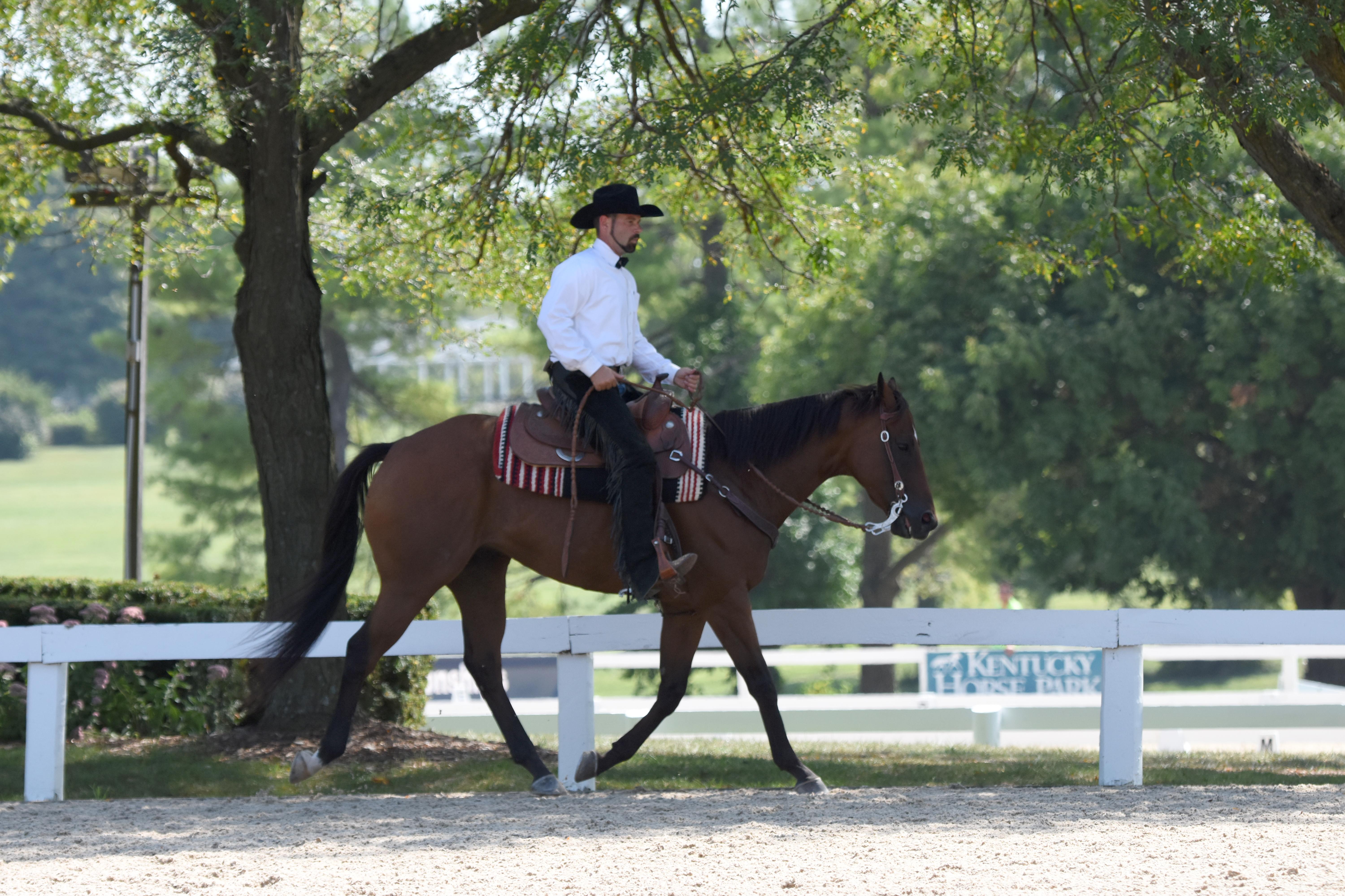 An OTTB performs in Western tack. (Melissa Bauer-Herzog/America's Best Racing)