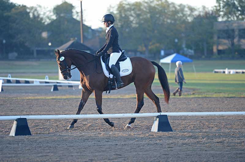 Dressage - Oct 6, 2017