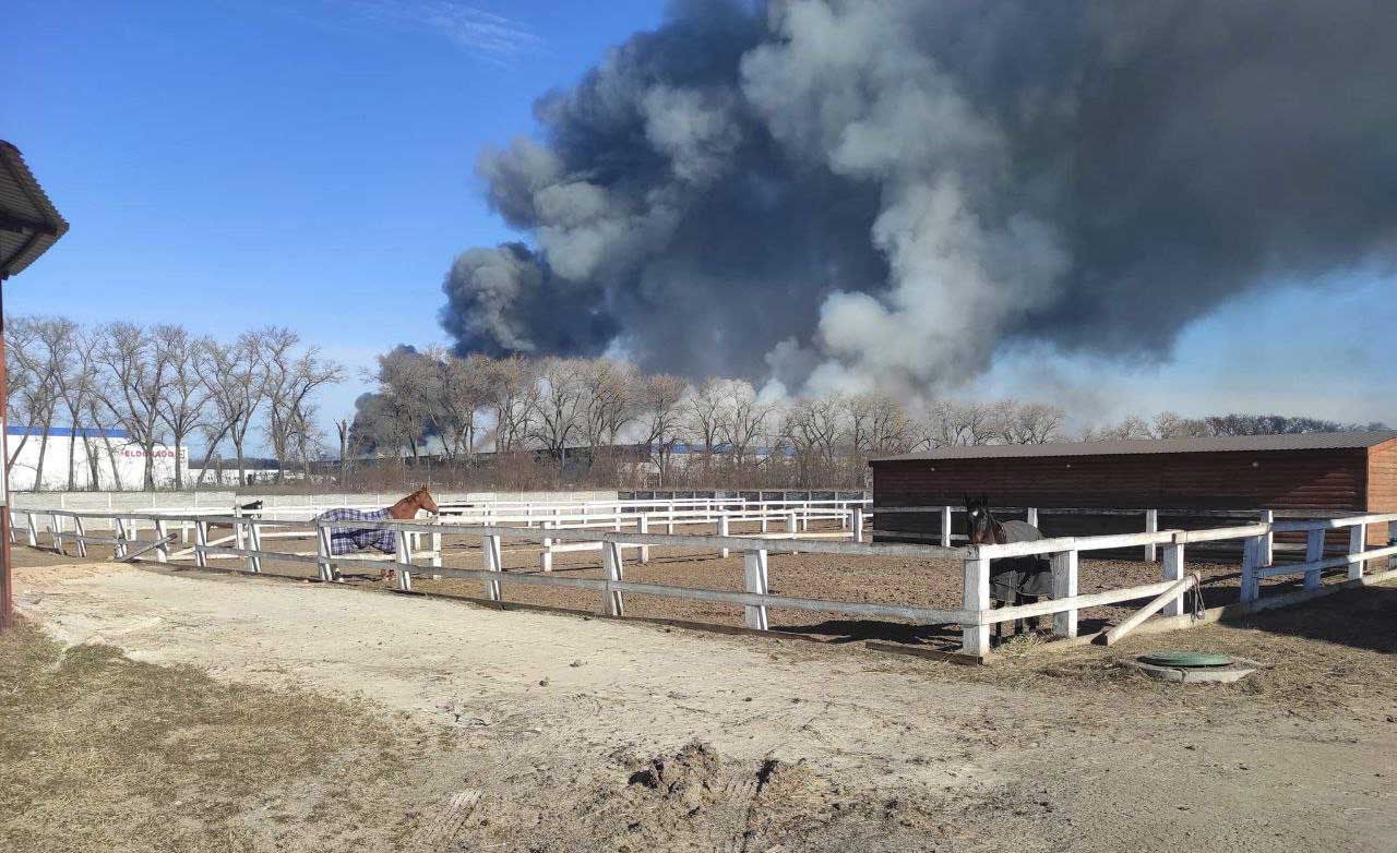 Ukraine - Horses in Wartime