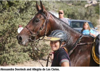 Allegria de los Cielos Allessandra Deerincks Mangalarga Marchador 