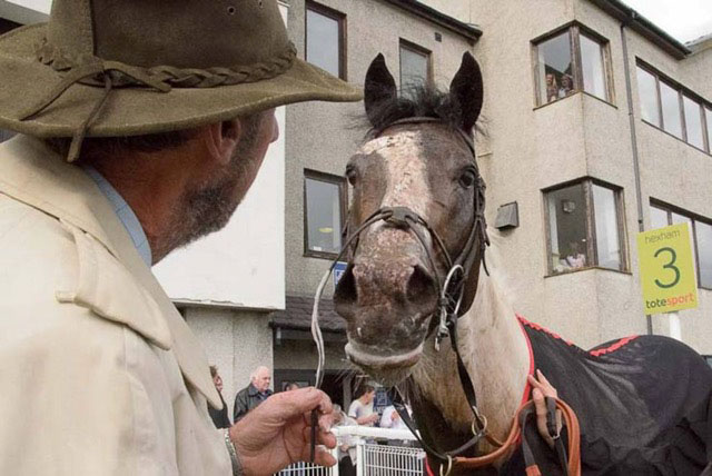 Angrove Rumbaba was the first tobiano racehorse to be placed in a horse race under rules in the UK & Europe.