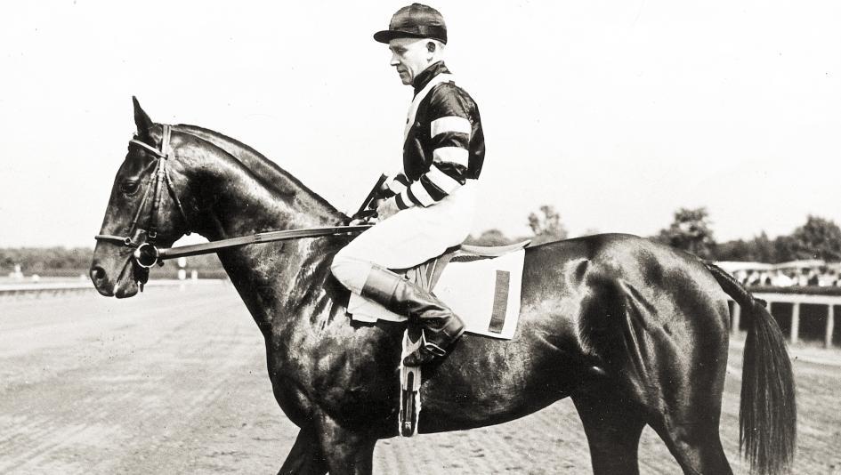 War Admiral (BloodHorse Library)